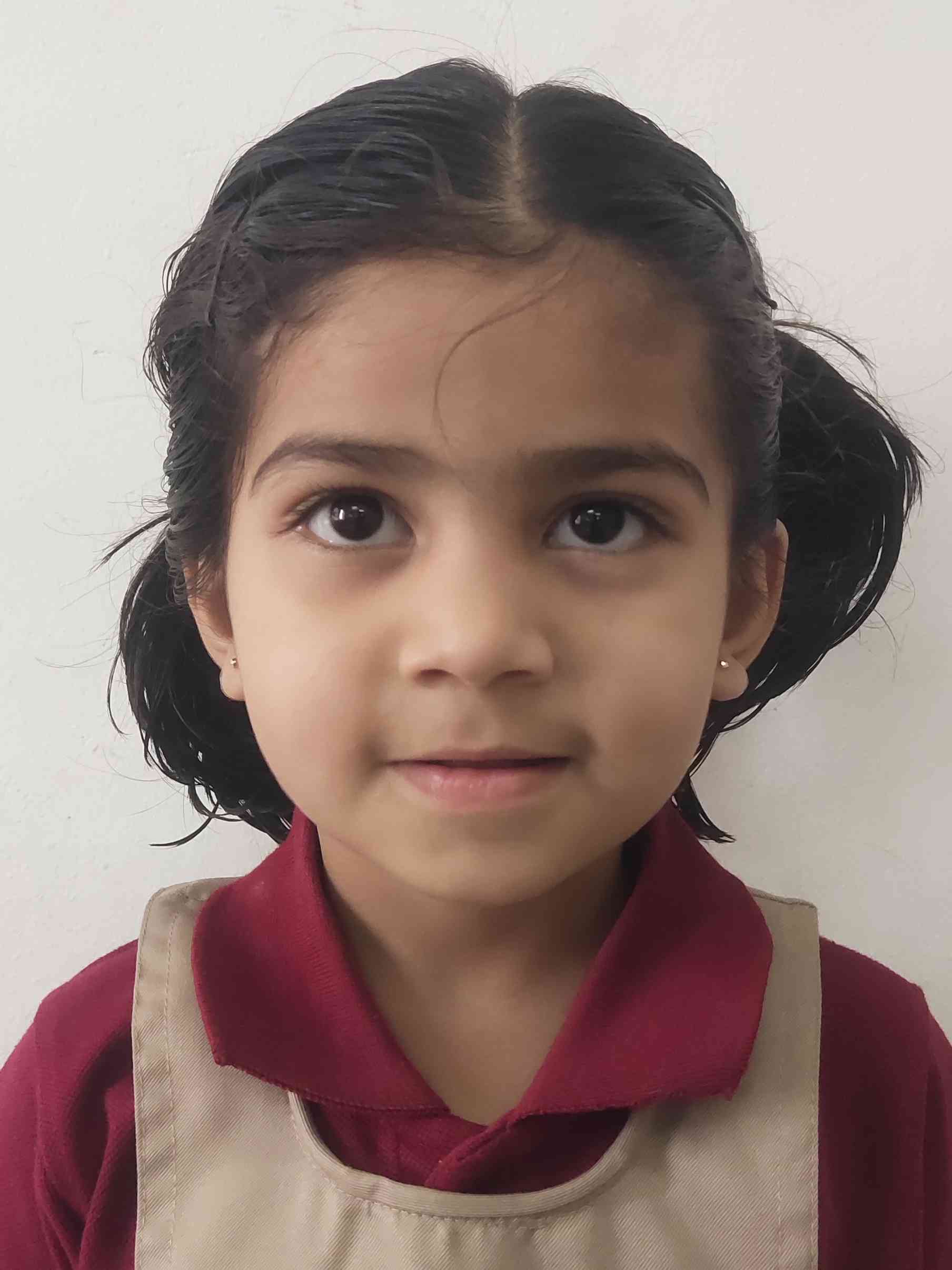Delhi Public School Anand
