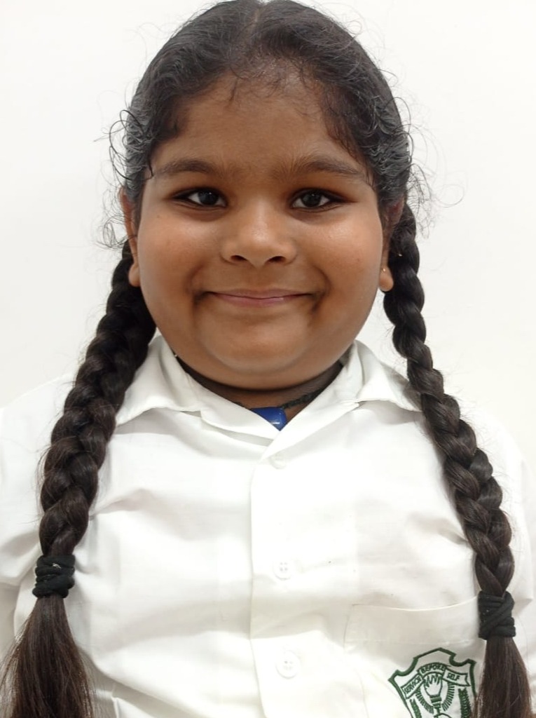 Delhi Public School Anand