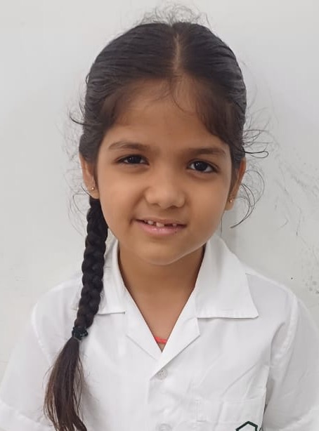 Delhi Public School Anand