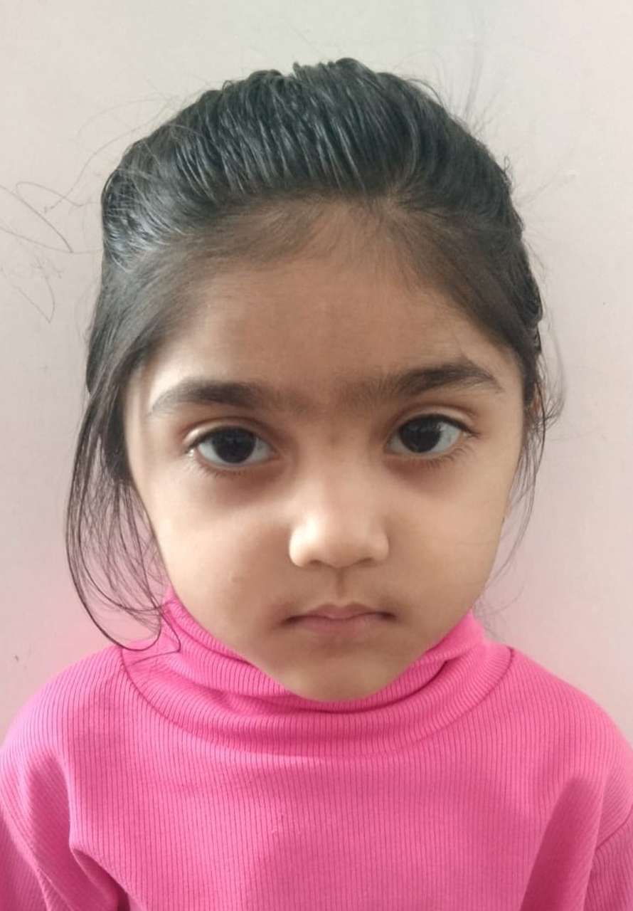 Delhi Public School Anand