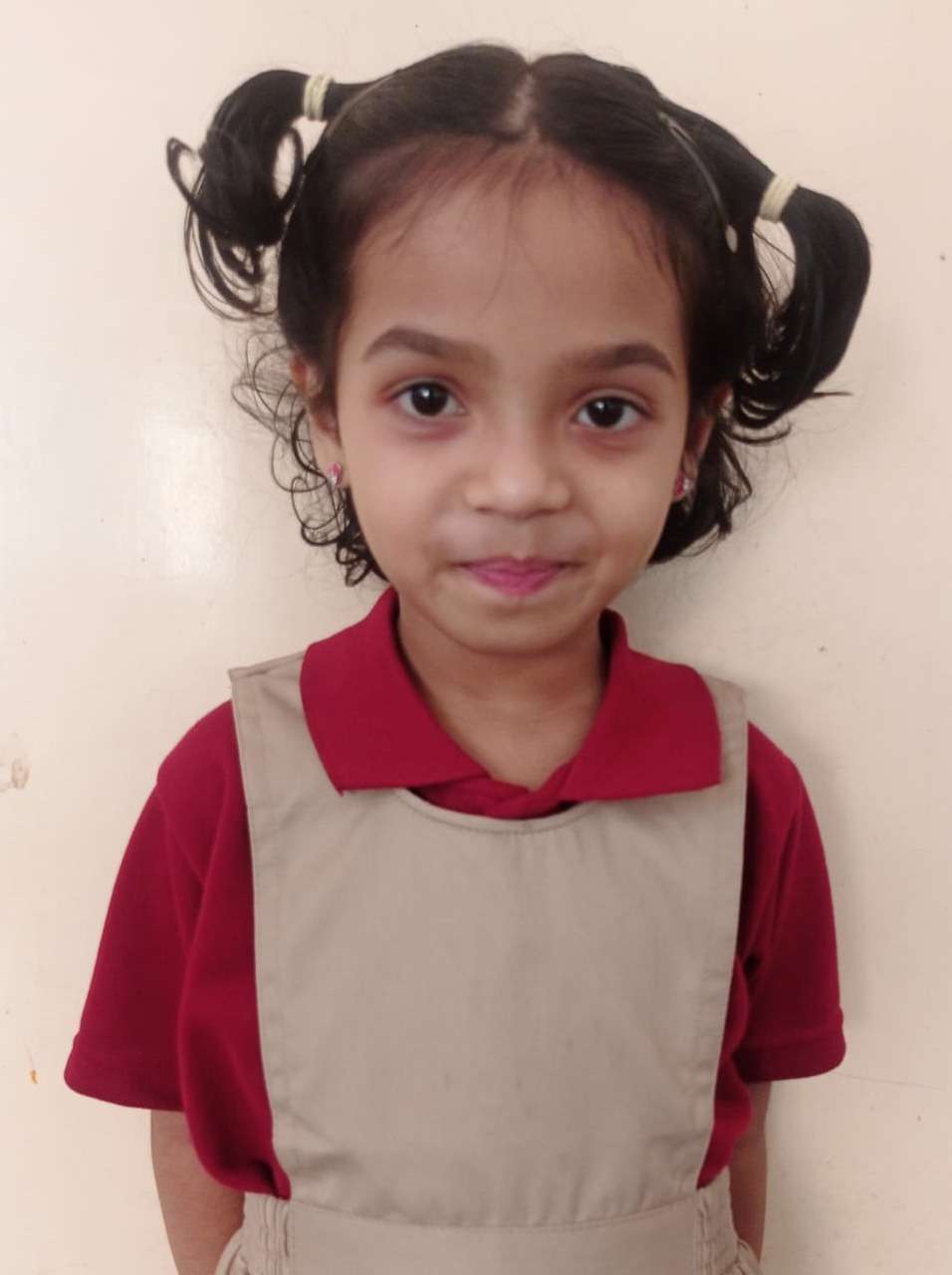Delhi Public School Anand
