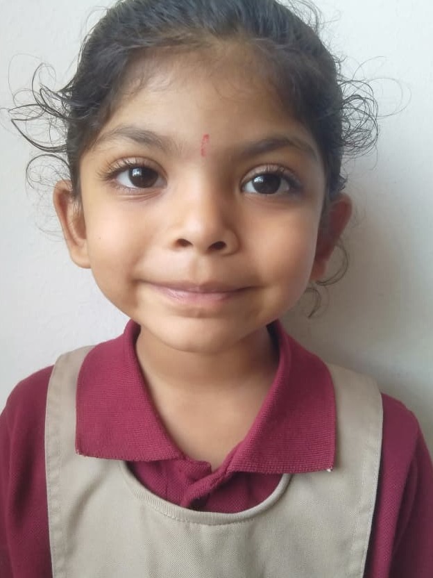 Delhi Public School Anand