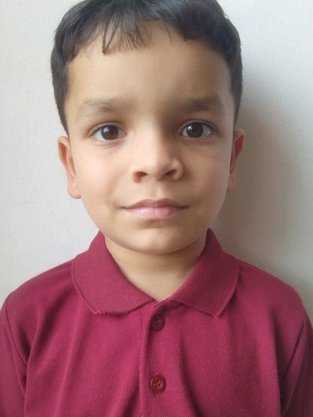 Delhi Public School Anand