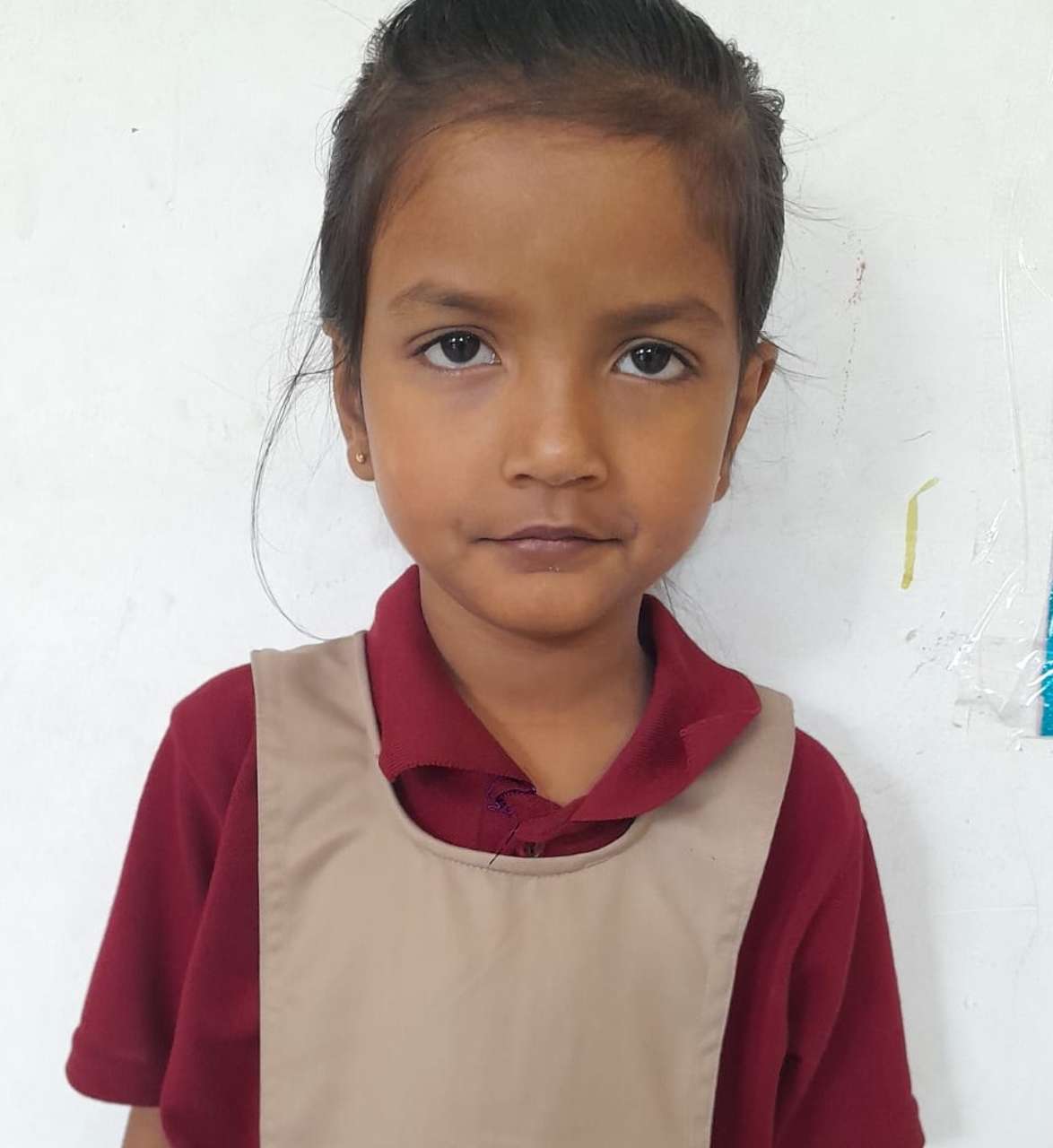 Delhi Public School Anand