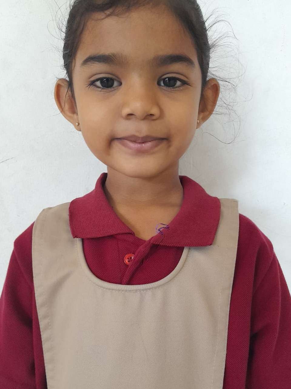 Delhi Public School Anand