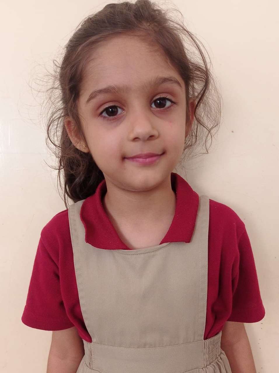 Delhi Public School Anand