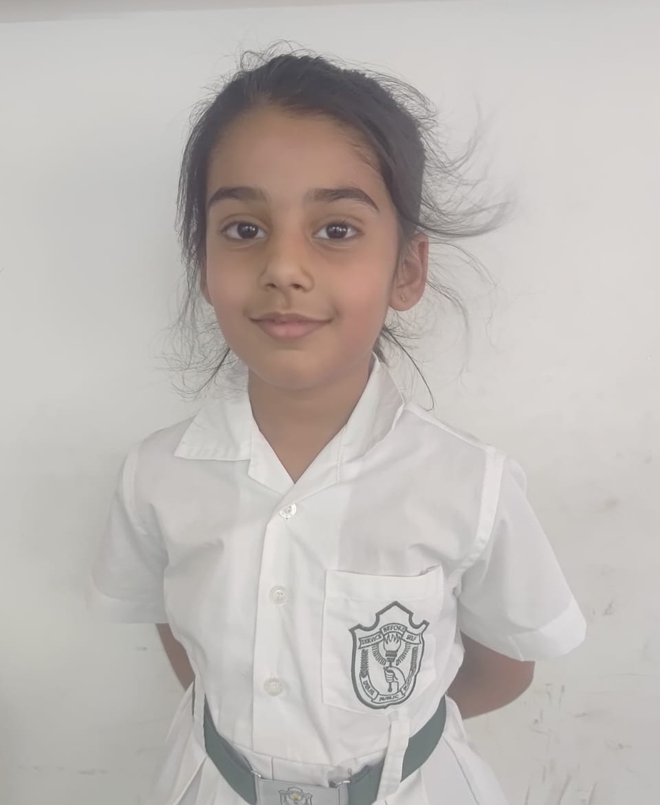 Delhi Public School Anand