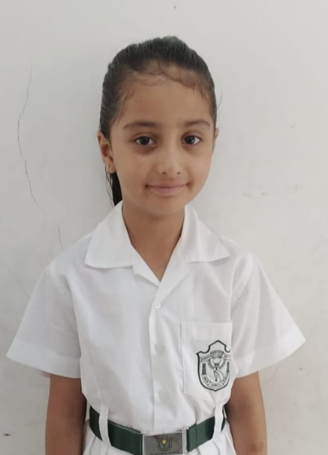 Delhi Public School Anand