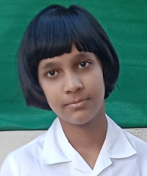 Delhi Public School Anand