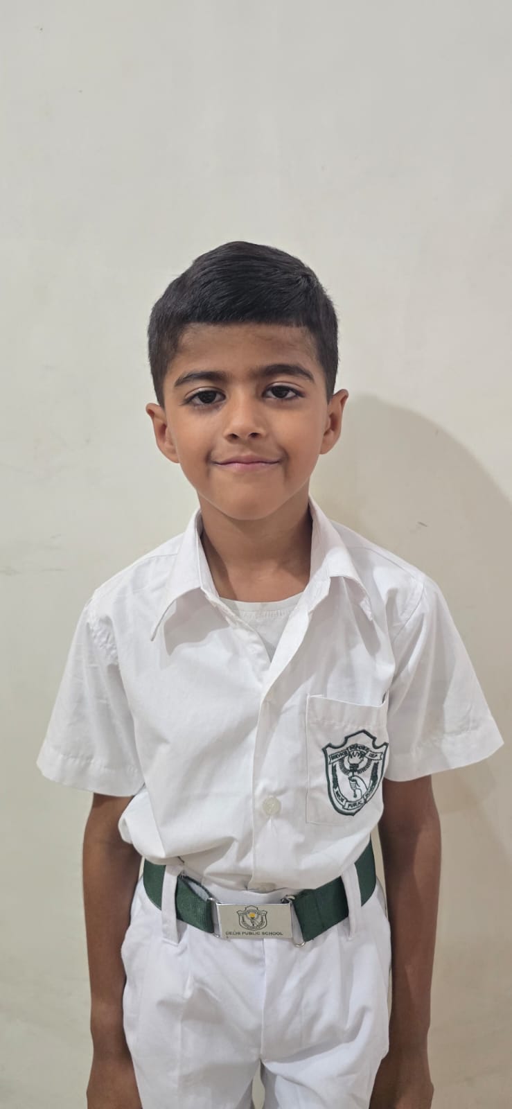Delhi Public School Anand