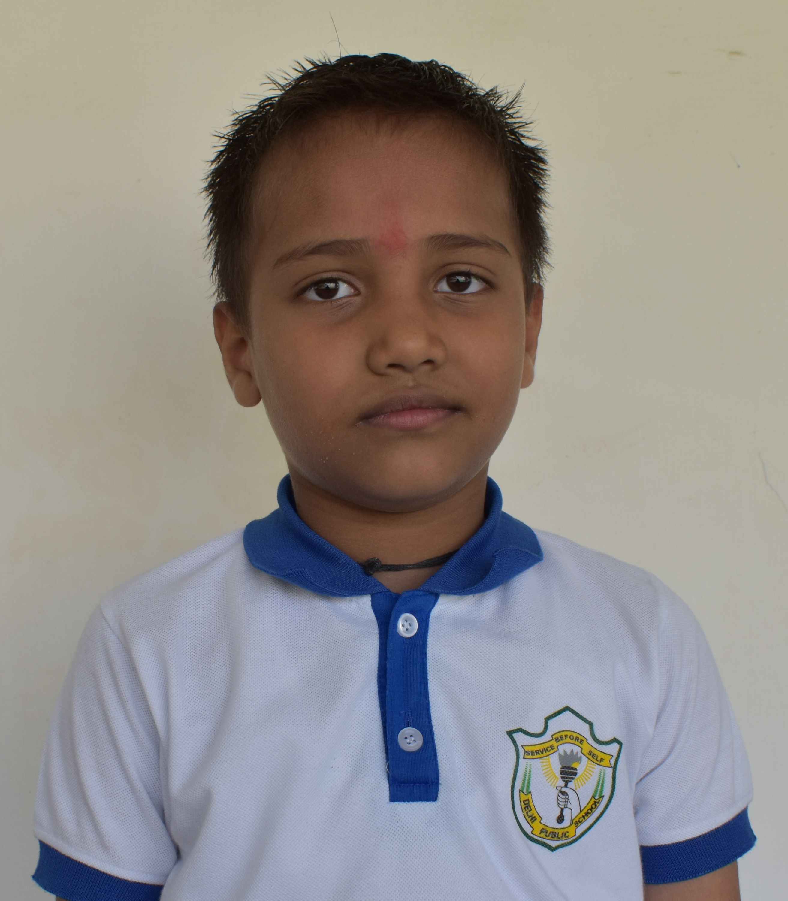 Delhi Public School Anand