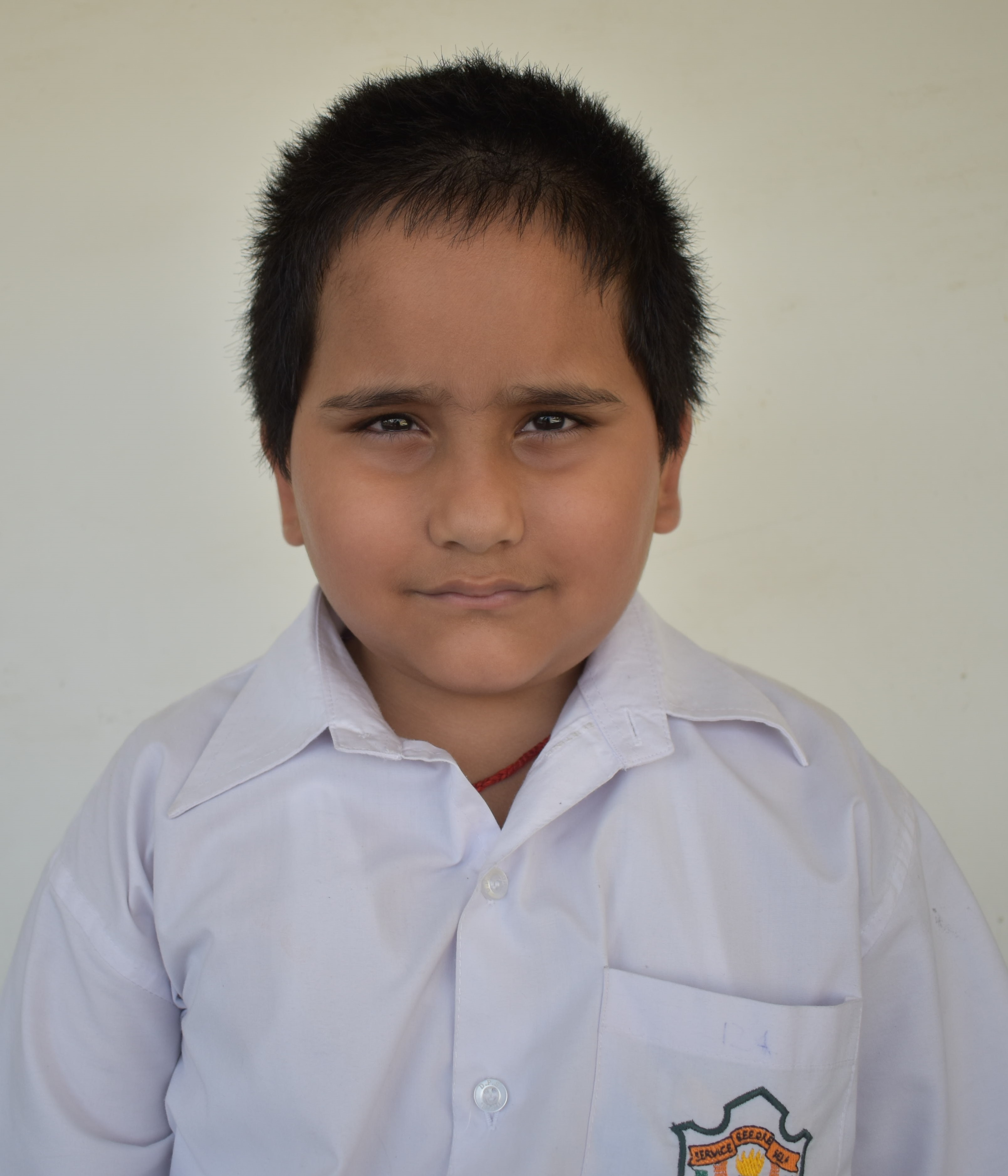 Delhi Public School Anand
