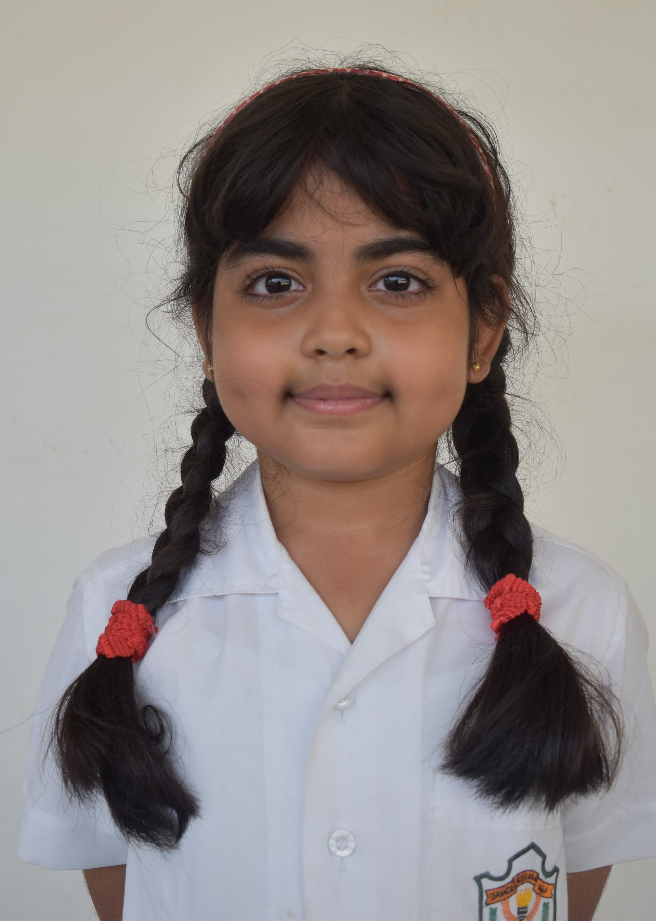 Delhi Public School Anand