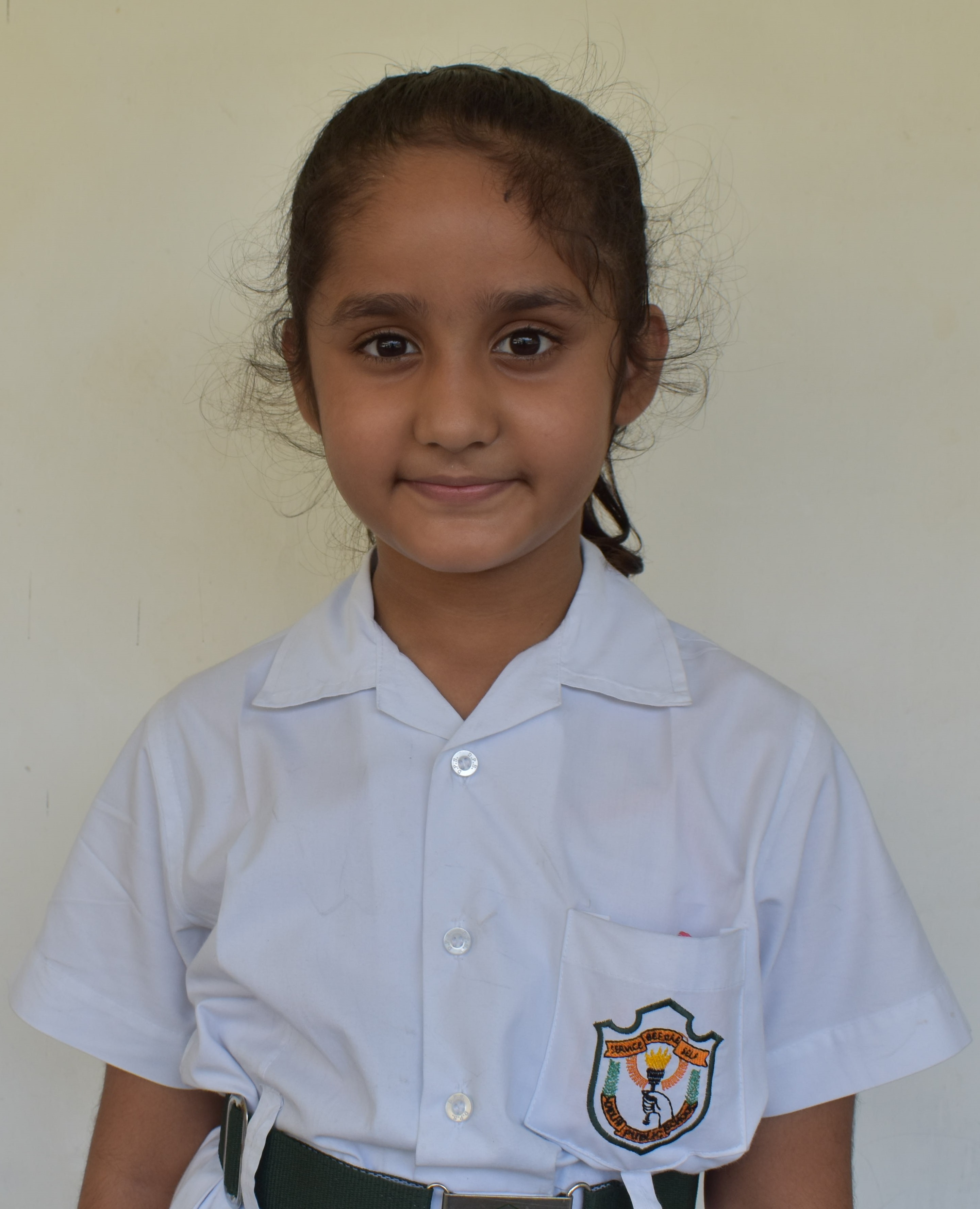 Delhi Public School Anand