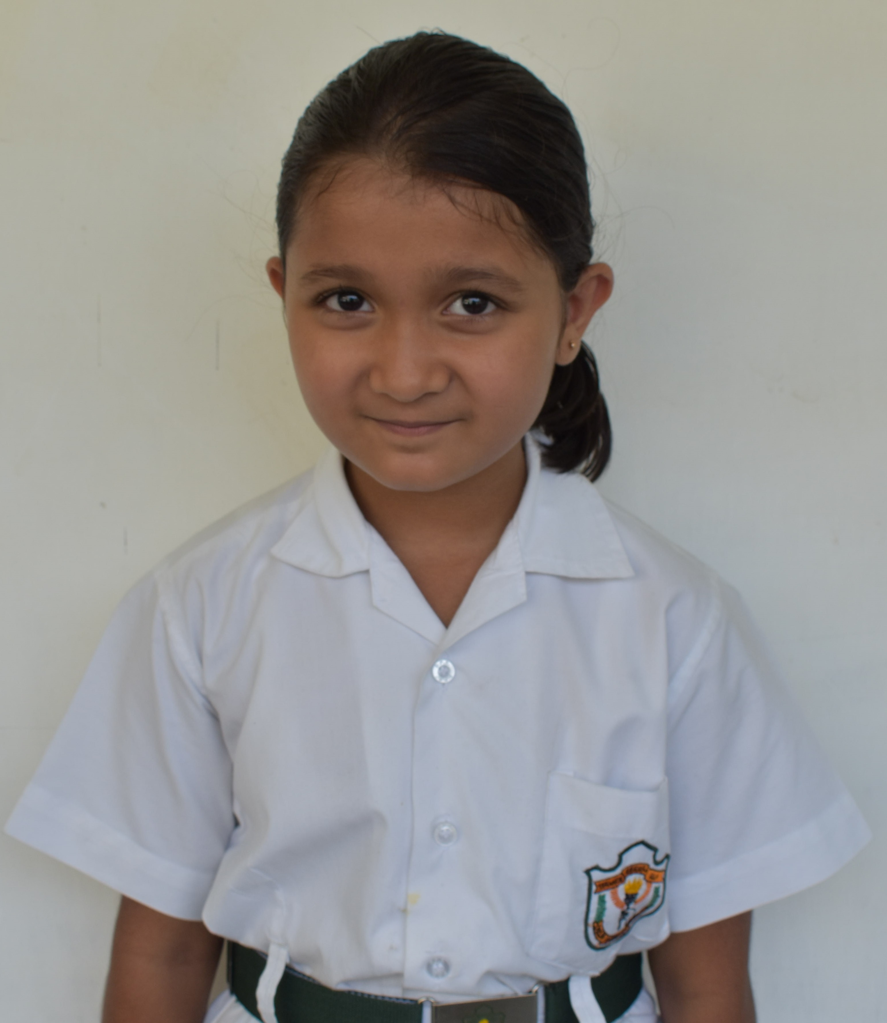 Delhi Public School Anand