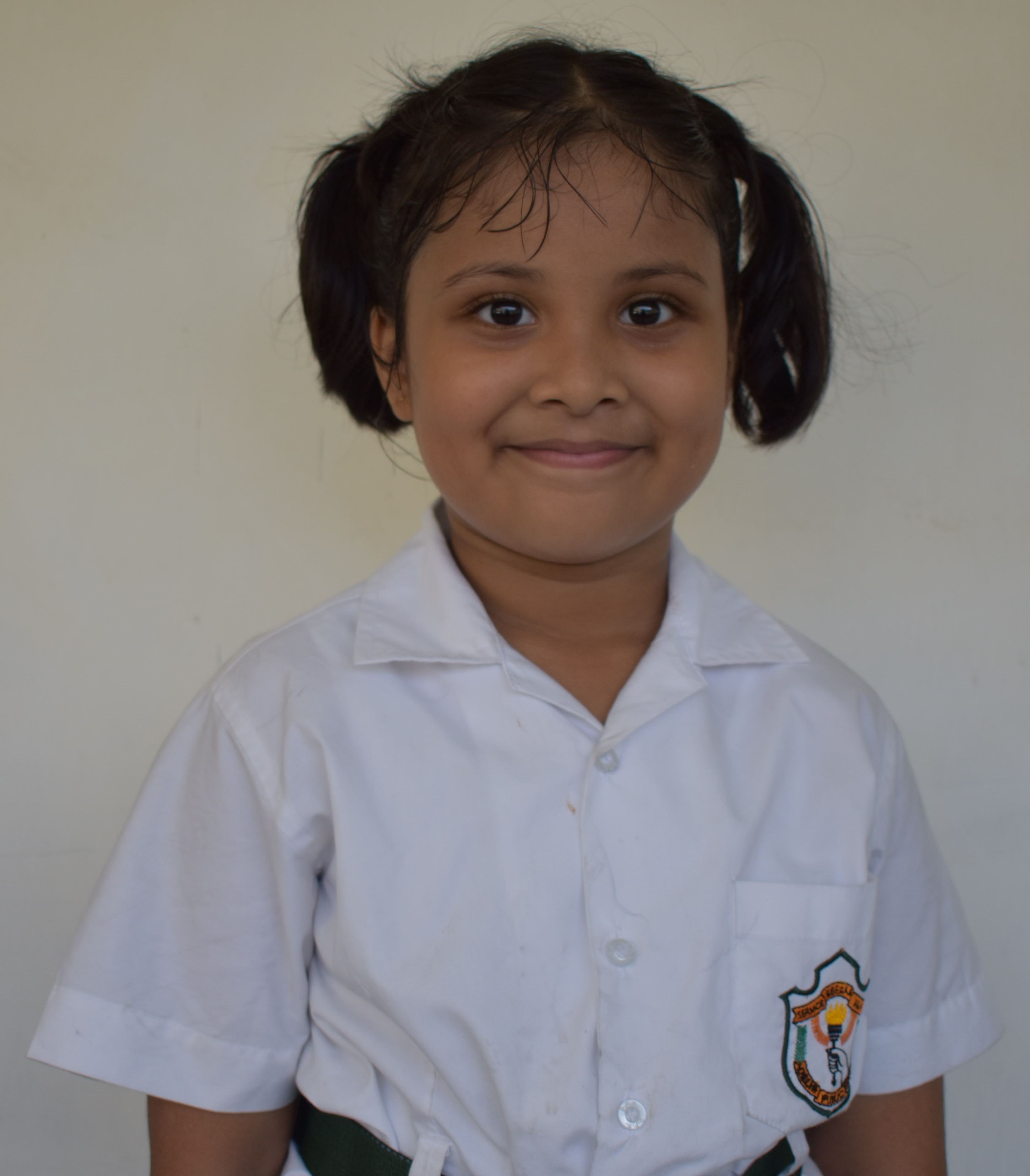 Delhi Public School Anand