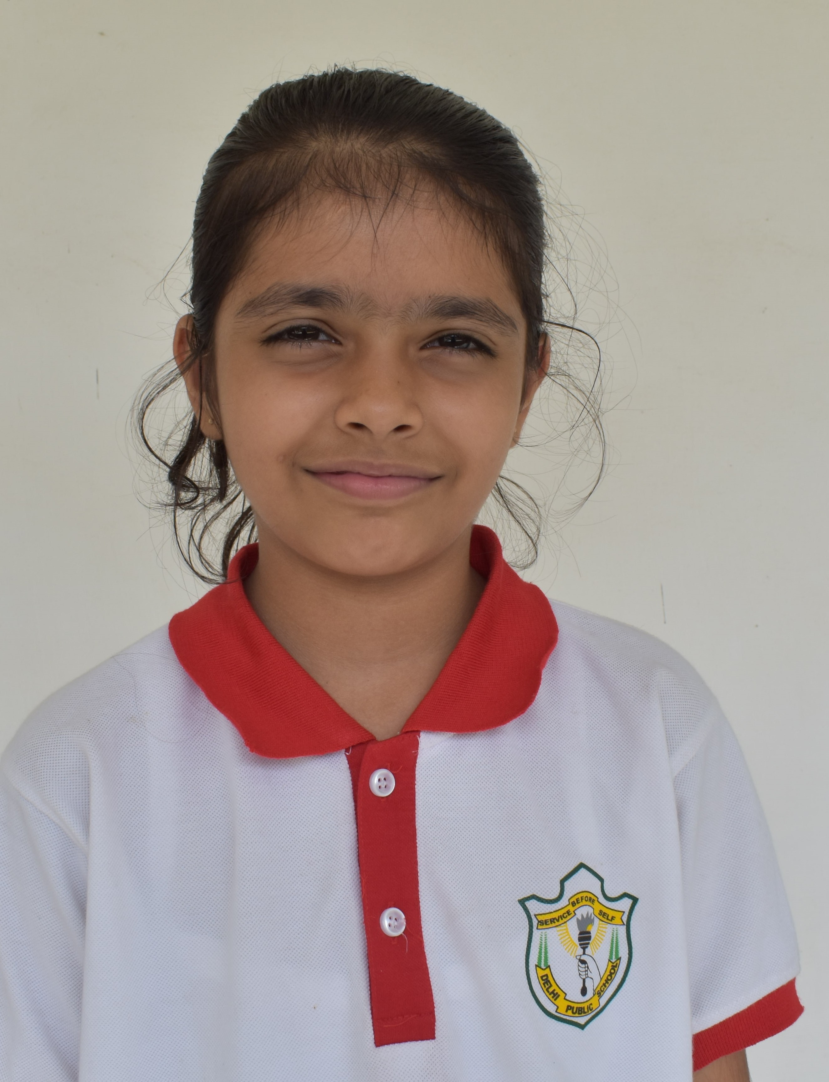 Delhi Public School Anand