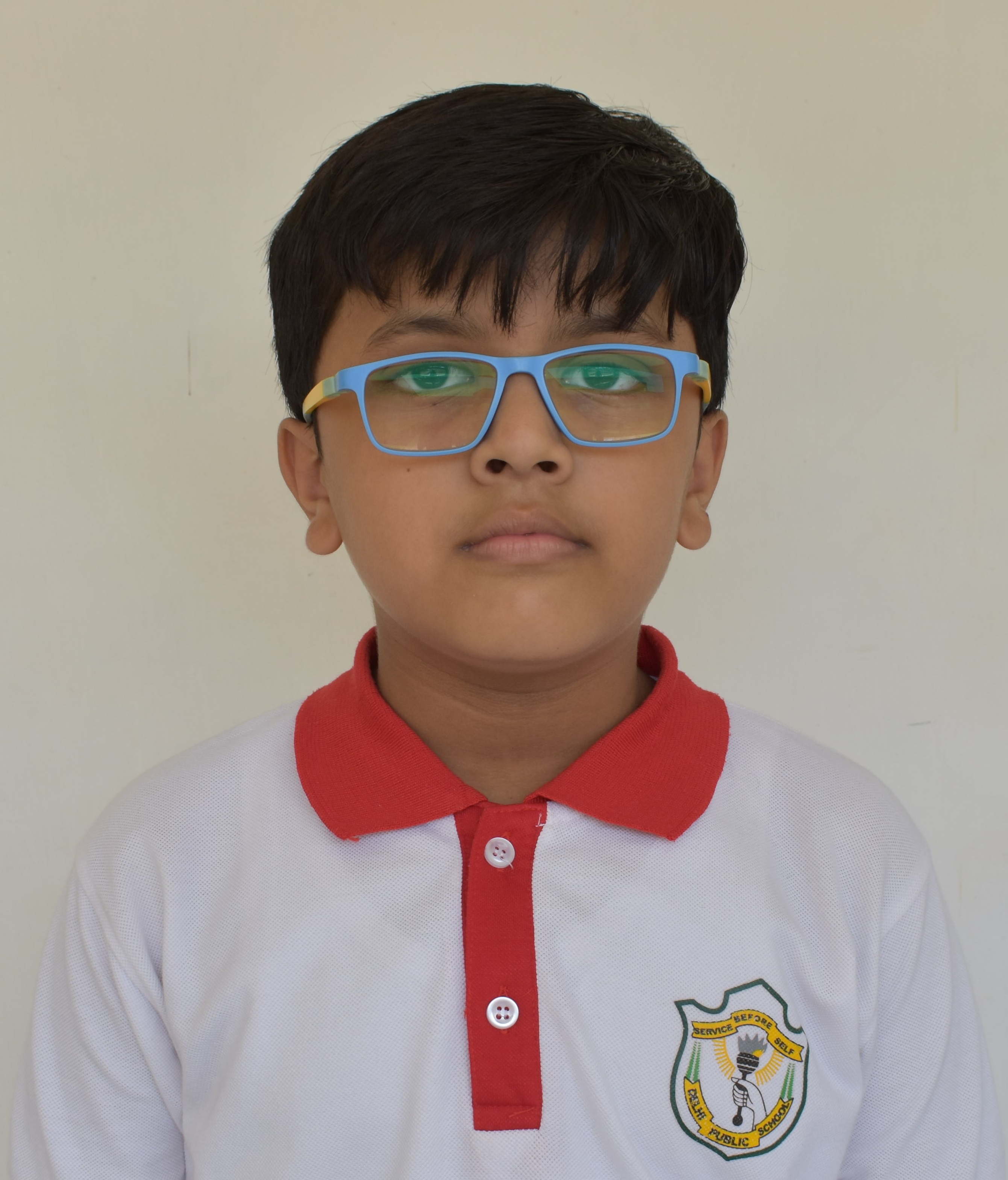 Delhi Public School Anand