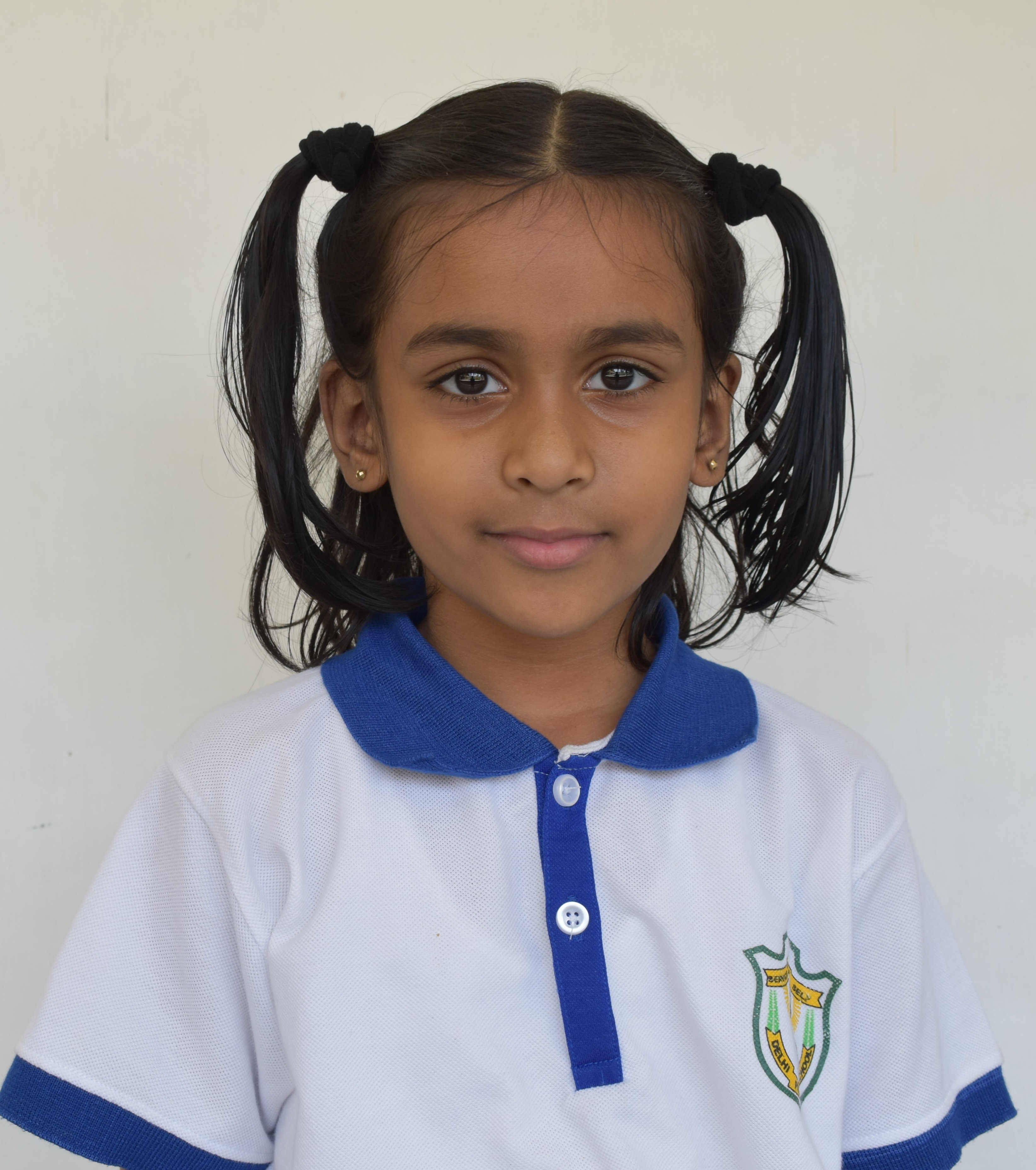 Delhi Public School Anand