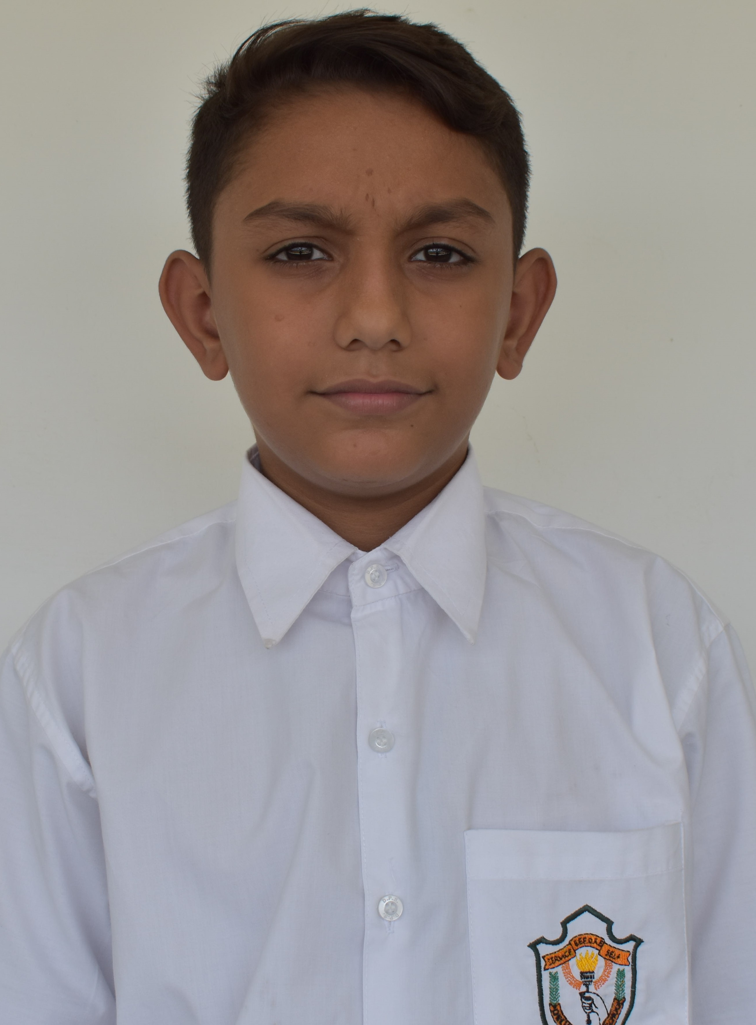 Delhi Public School Anand