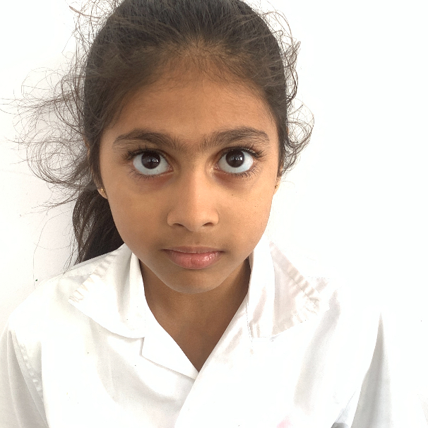 Delhi Public School Anand