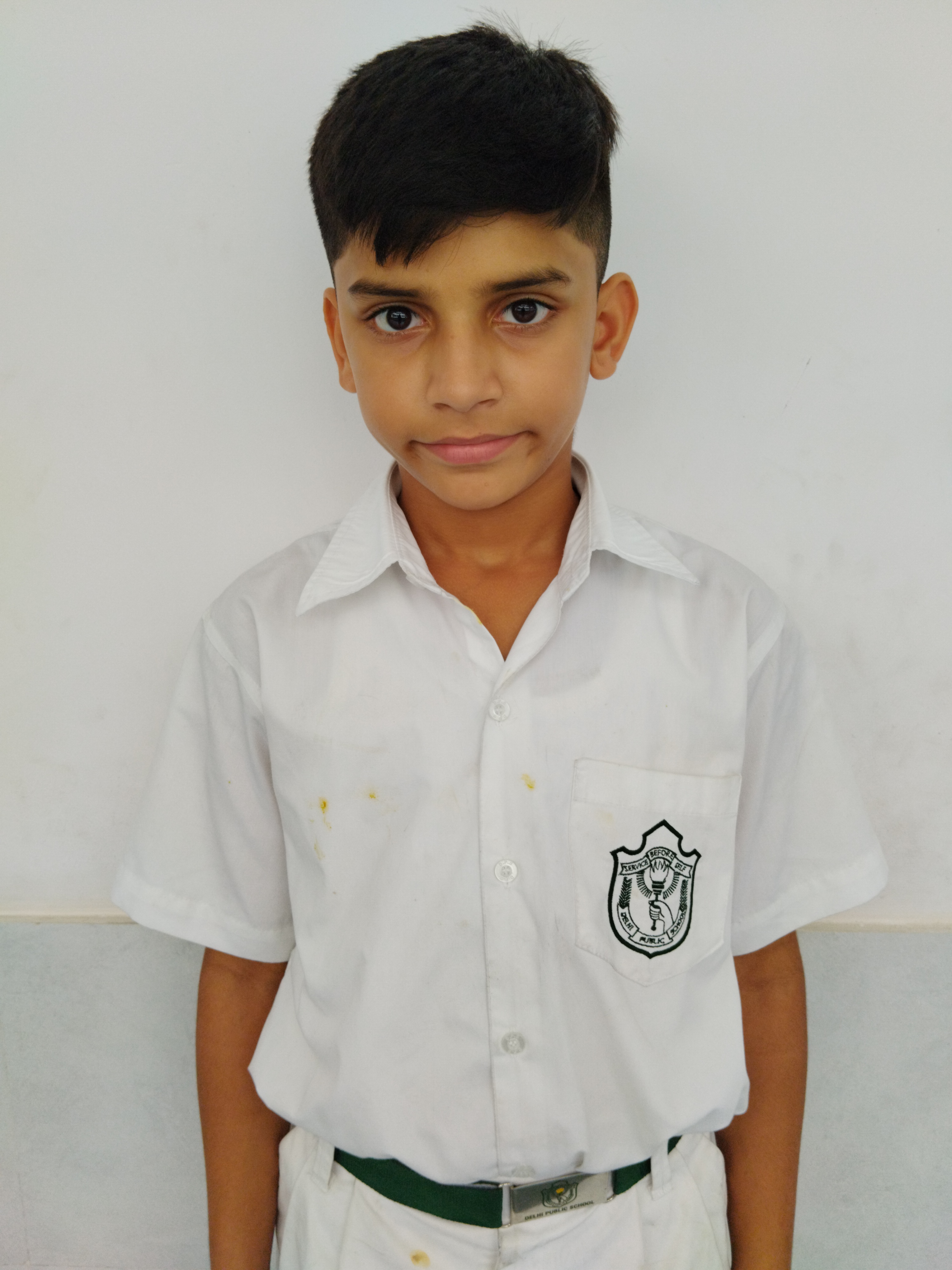 Delhi Public School Anand