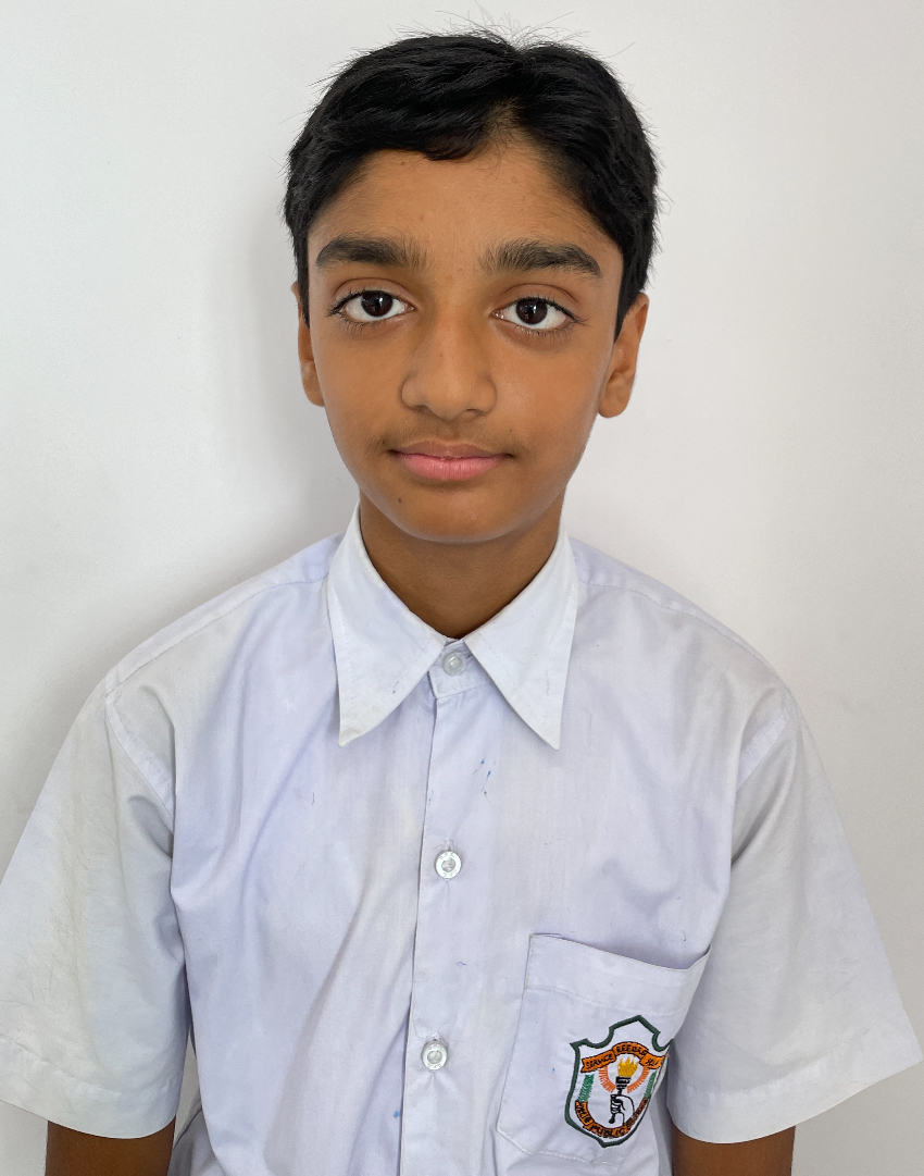 Delhi Public School Anand