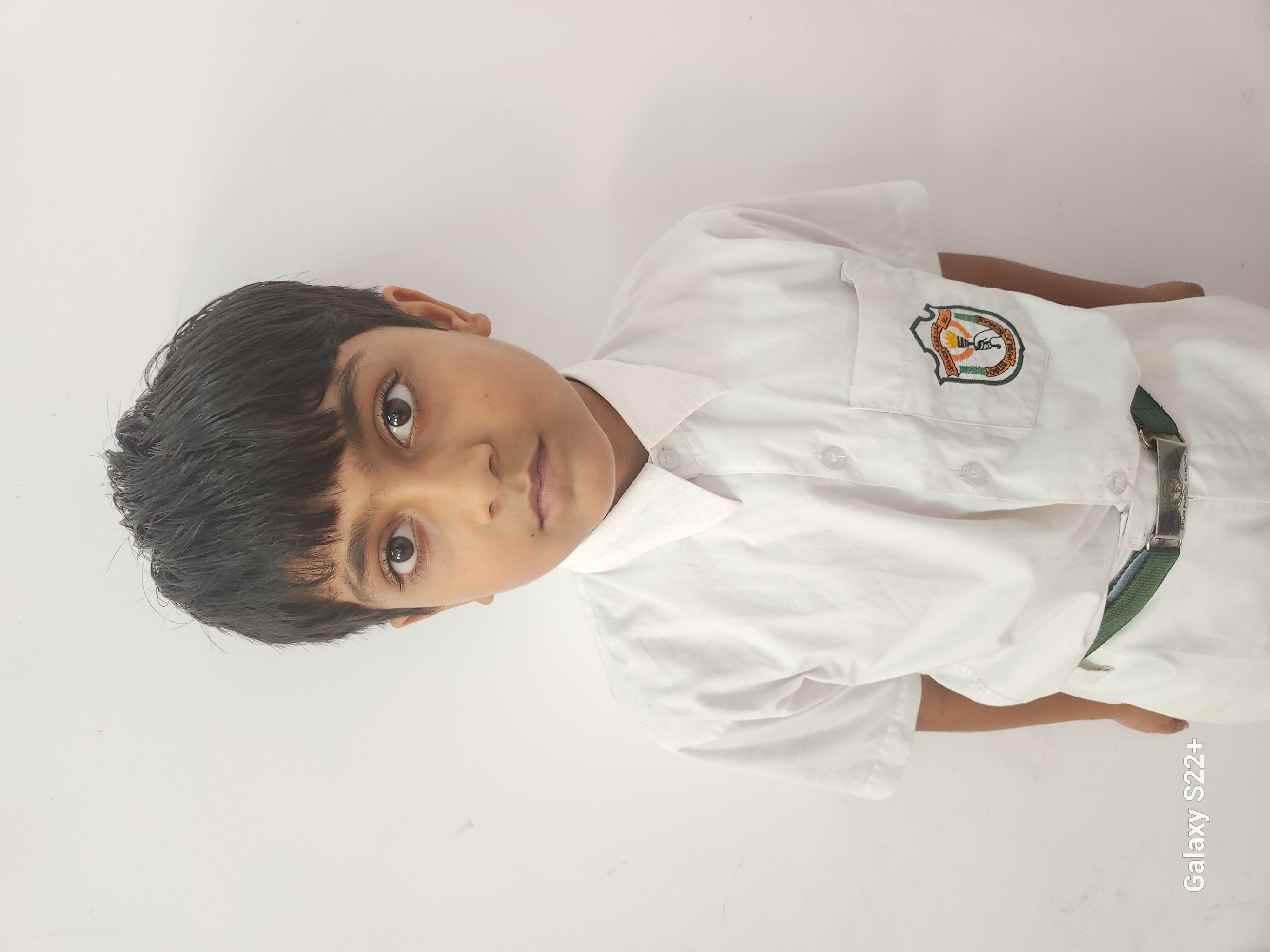 Delhi Public School Anand