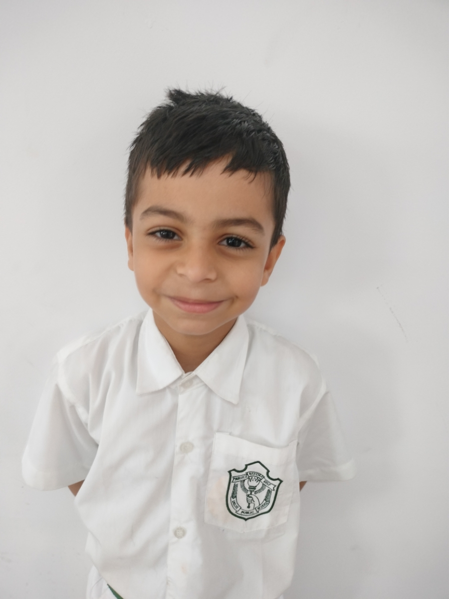 Delhi Public School Anand