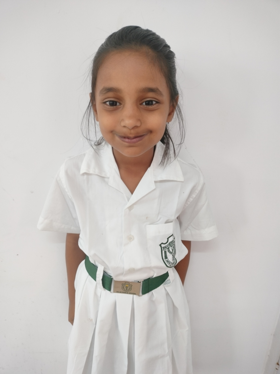 Delhi Public School Anand