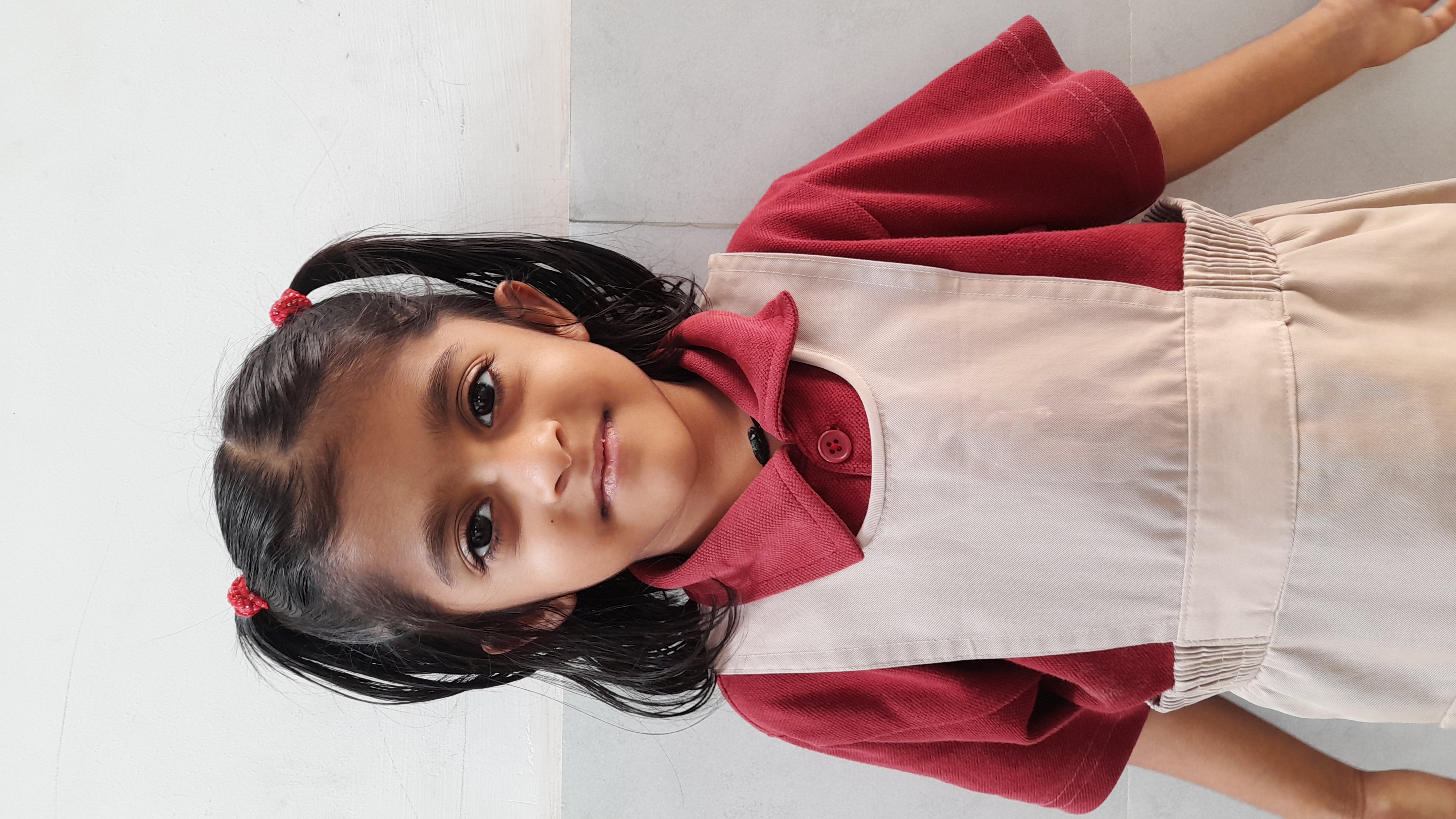 Delhi Public School Anand