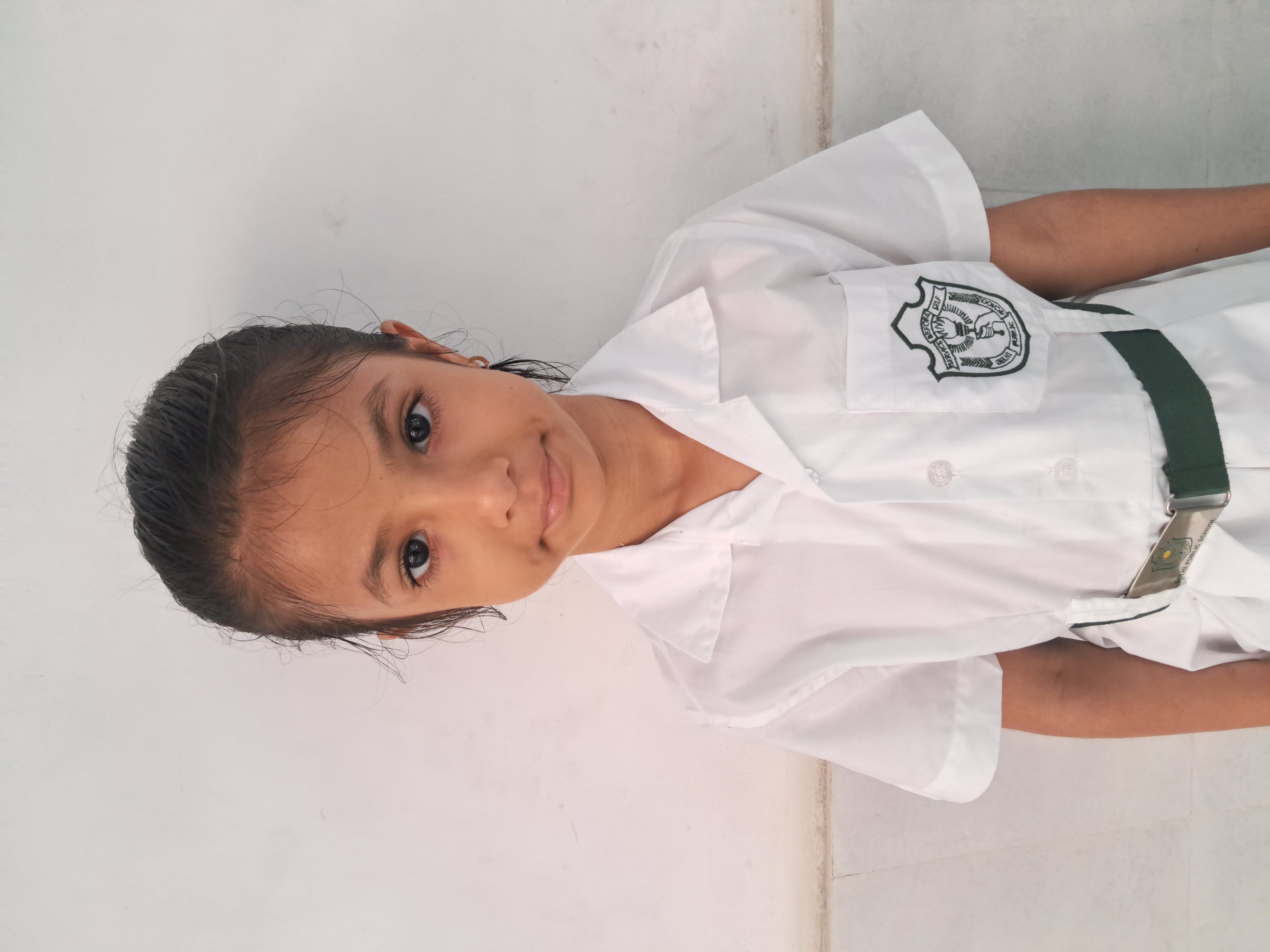 Delhi Public School Anand