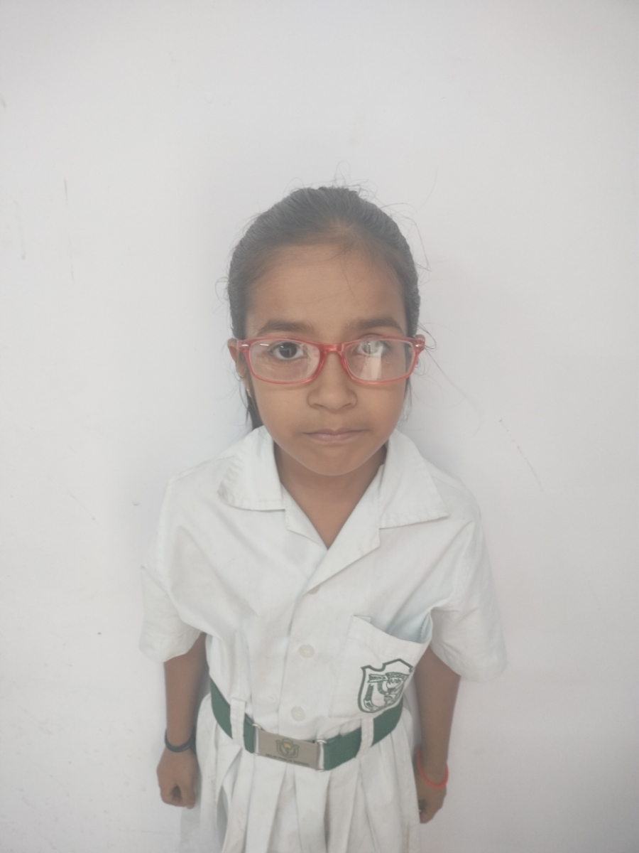 Delhi Public School Anand