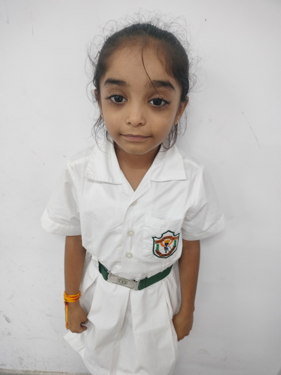 Delhi Public School Anand