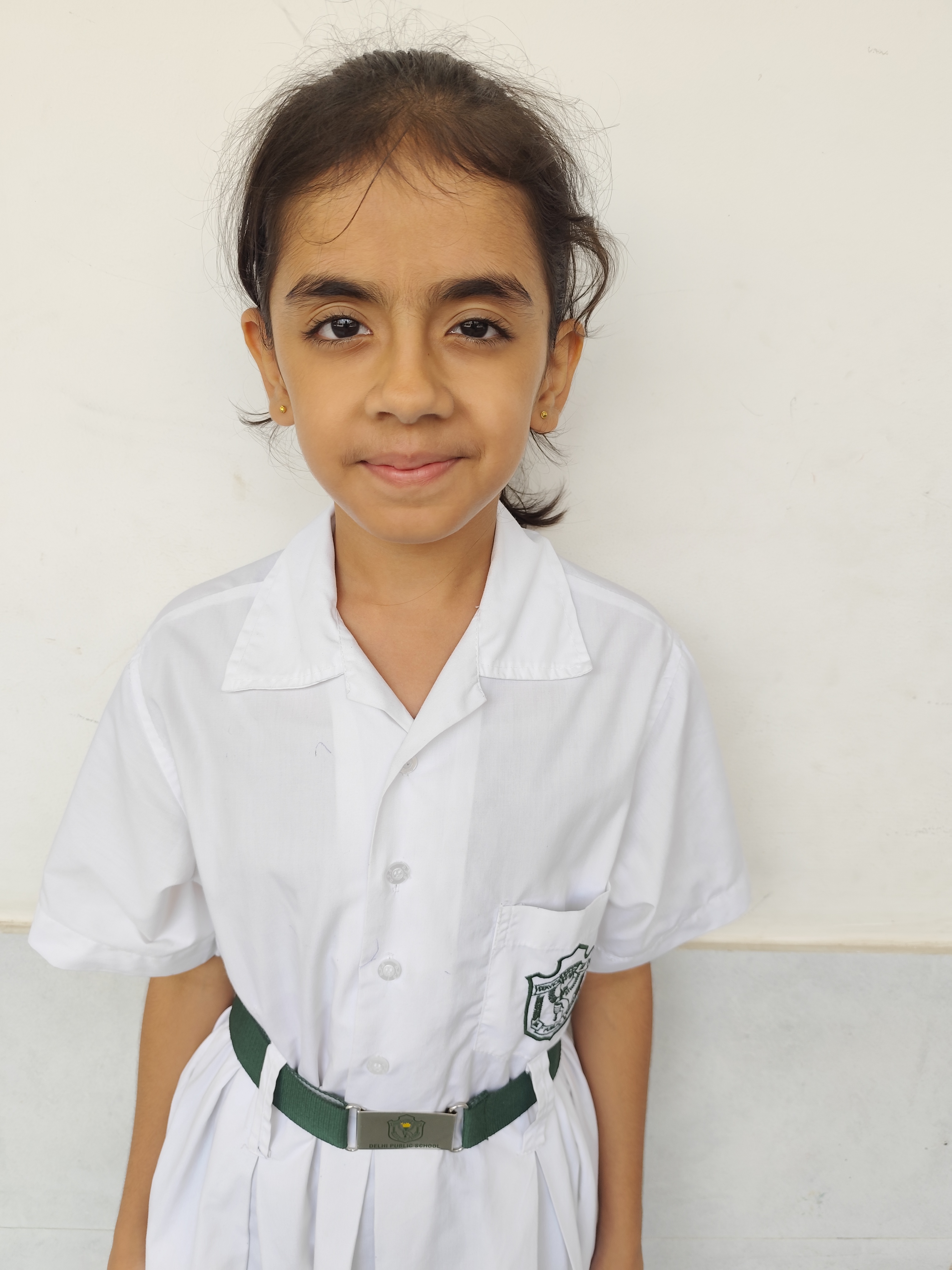 Delhi Public School Anand