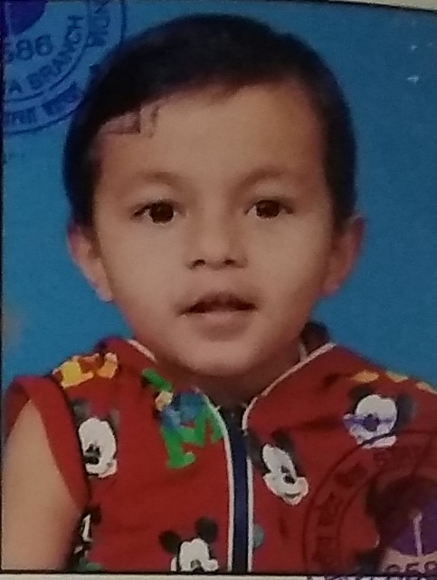 Delhi Public School Anand