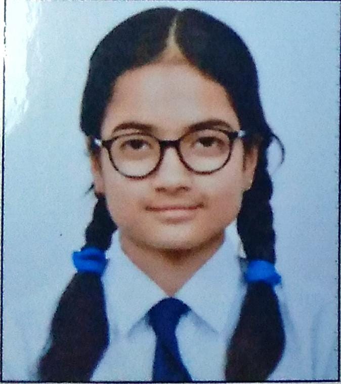 Delhi Public School Anand