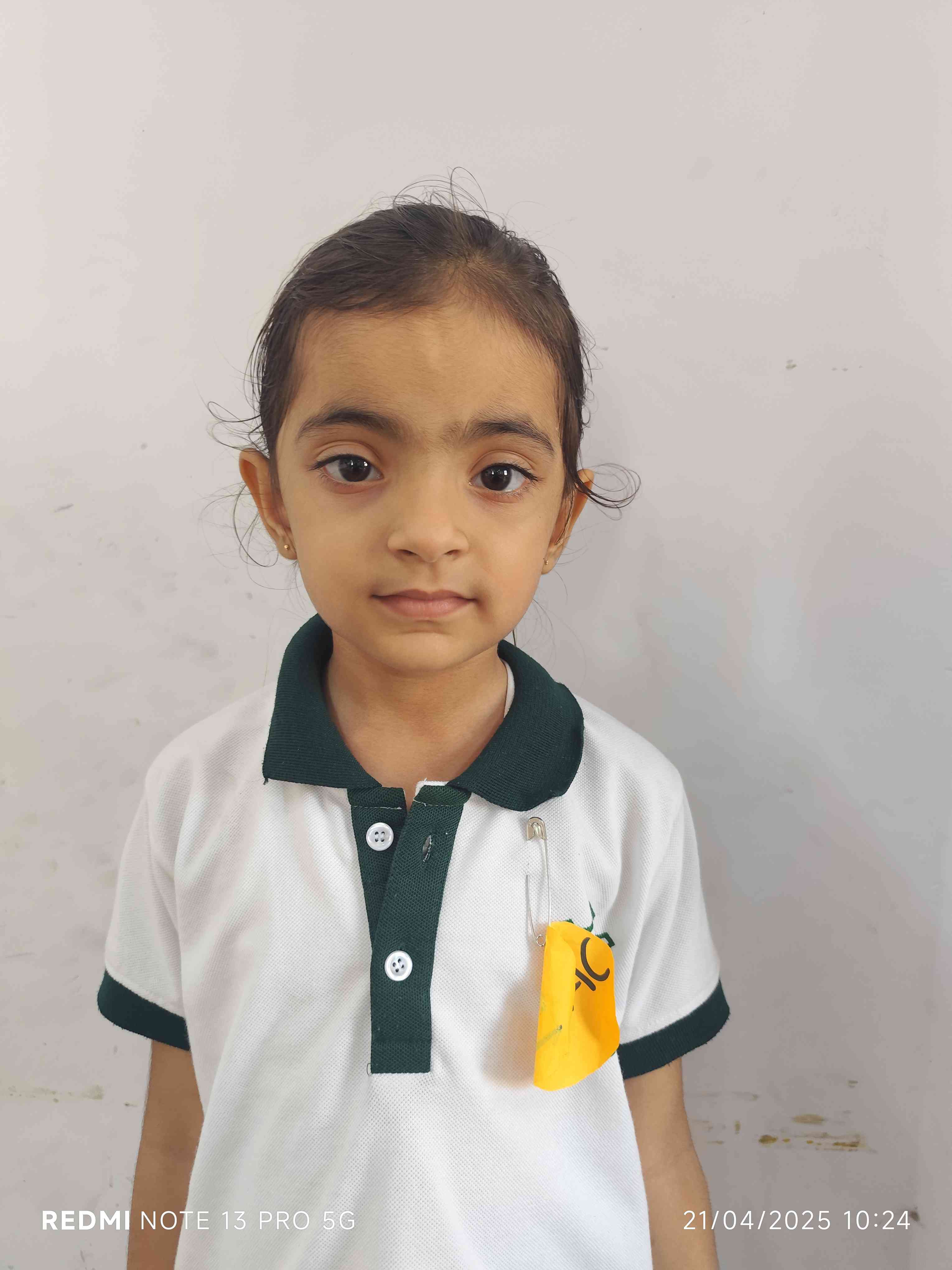 Delhi Public School Anand