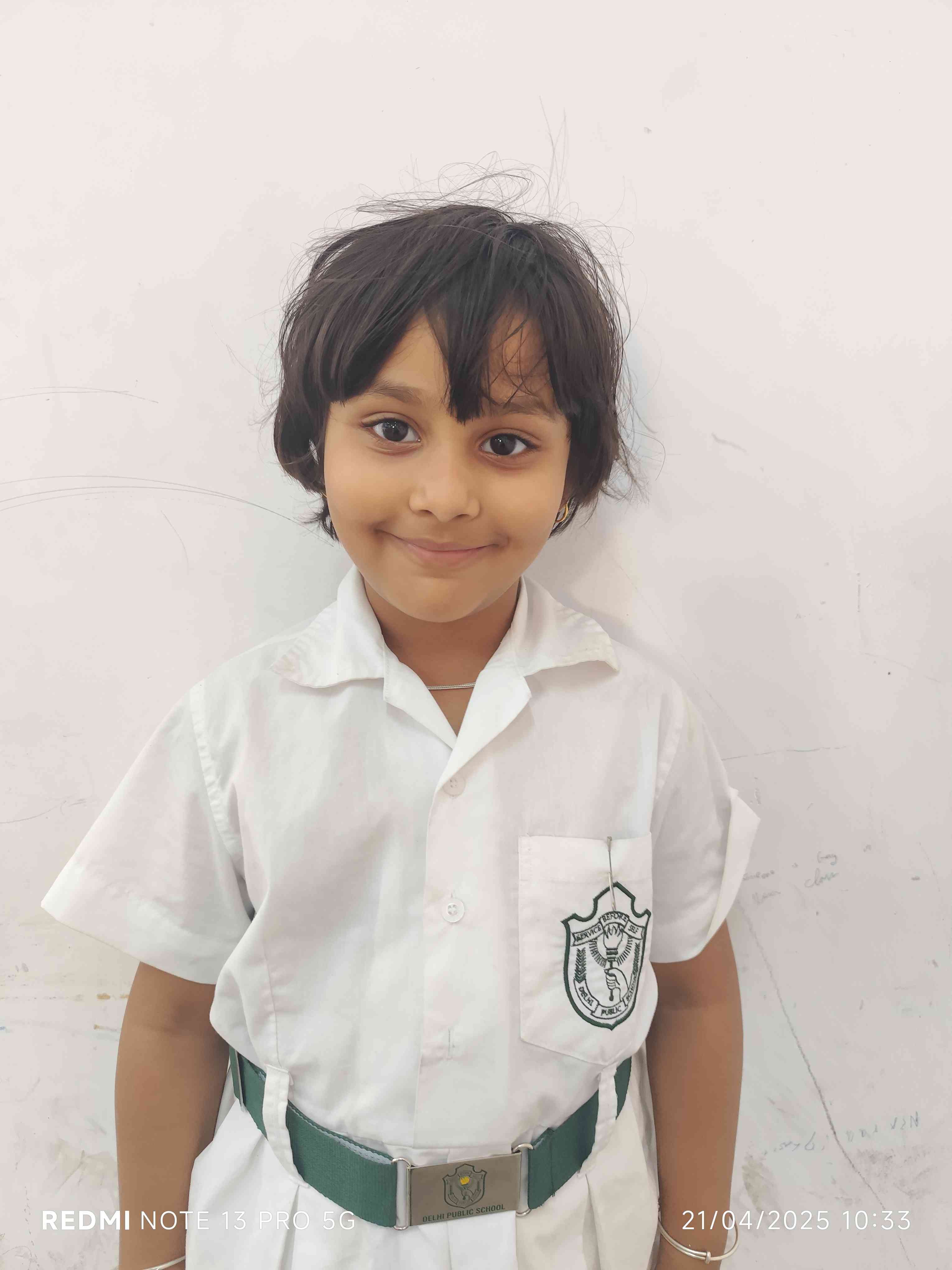 Delhi Public School Anand