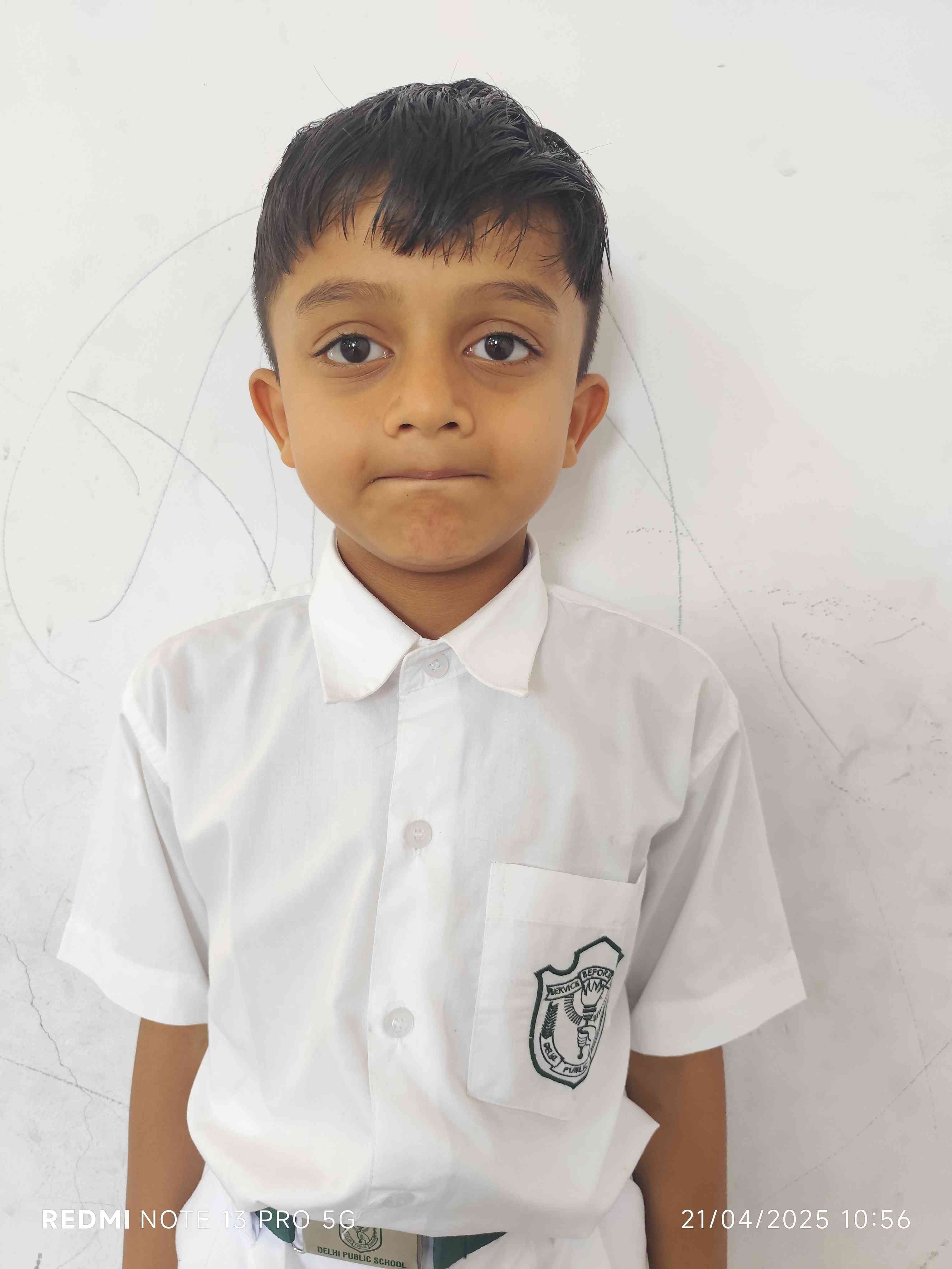 Delhi Public School Anand