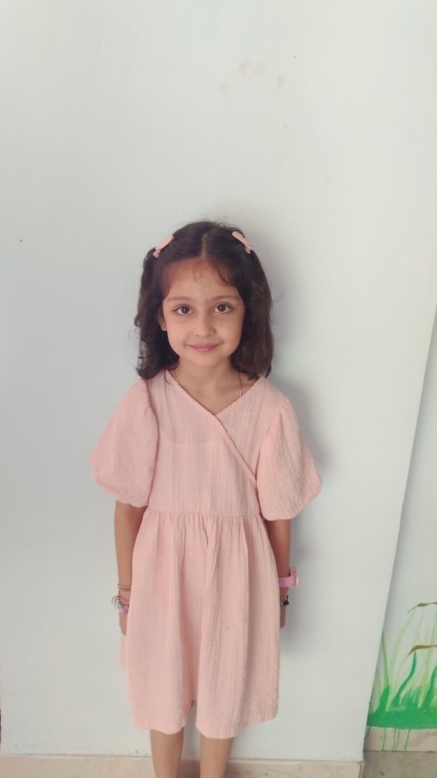 Delhi Public School Anand