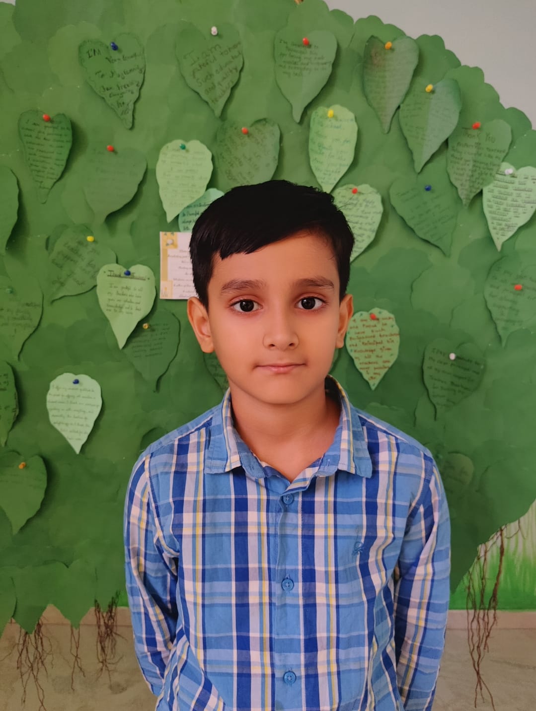 Delhi Public School Anand