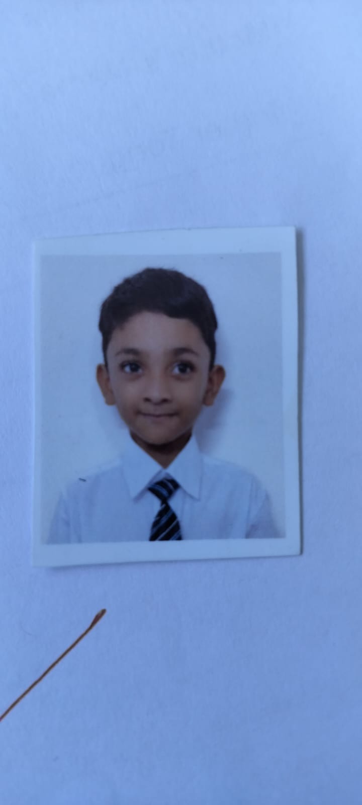 Delhi Public School Anand