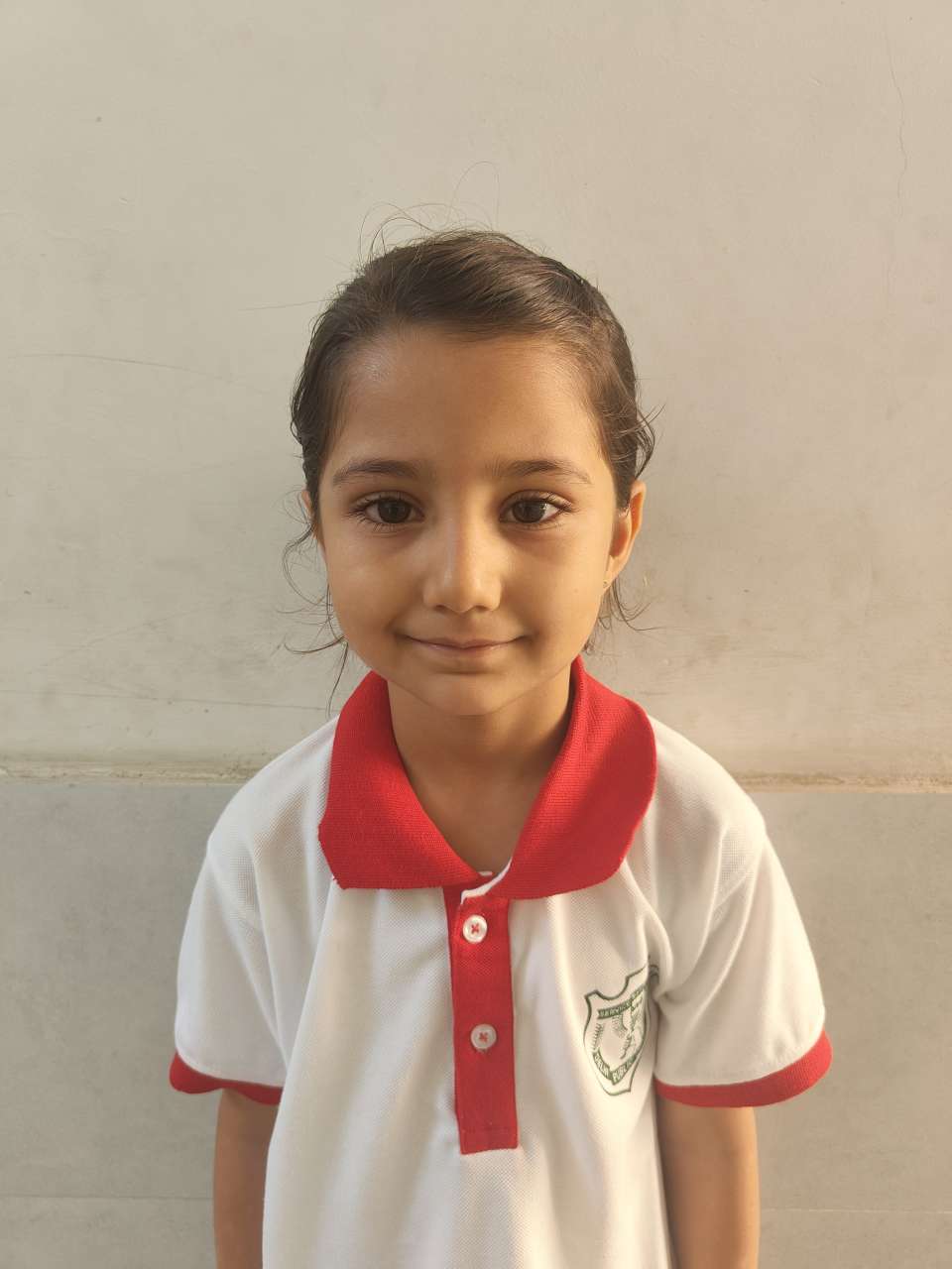 Delhi Public School Anand