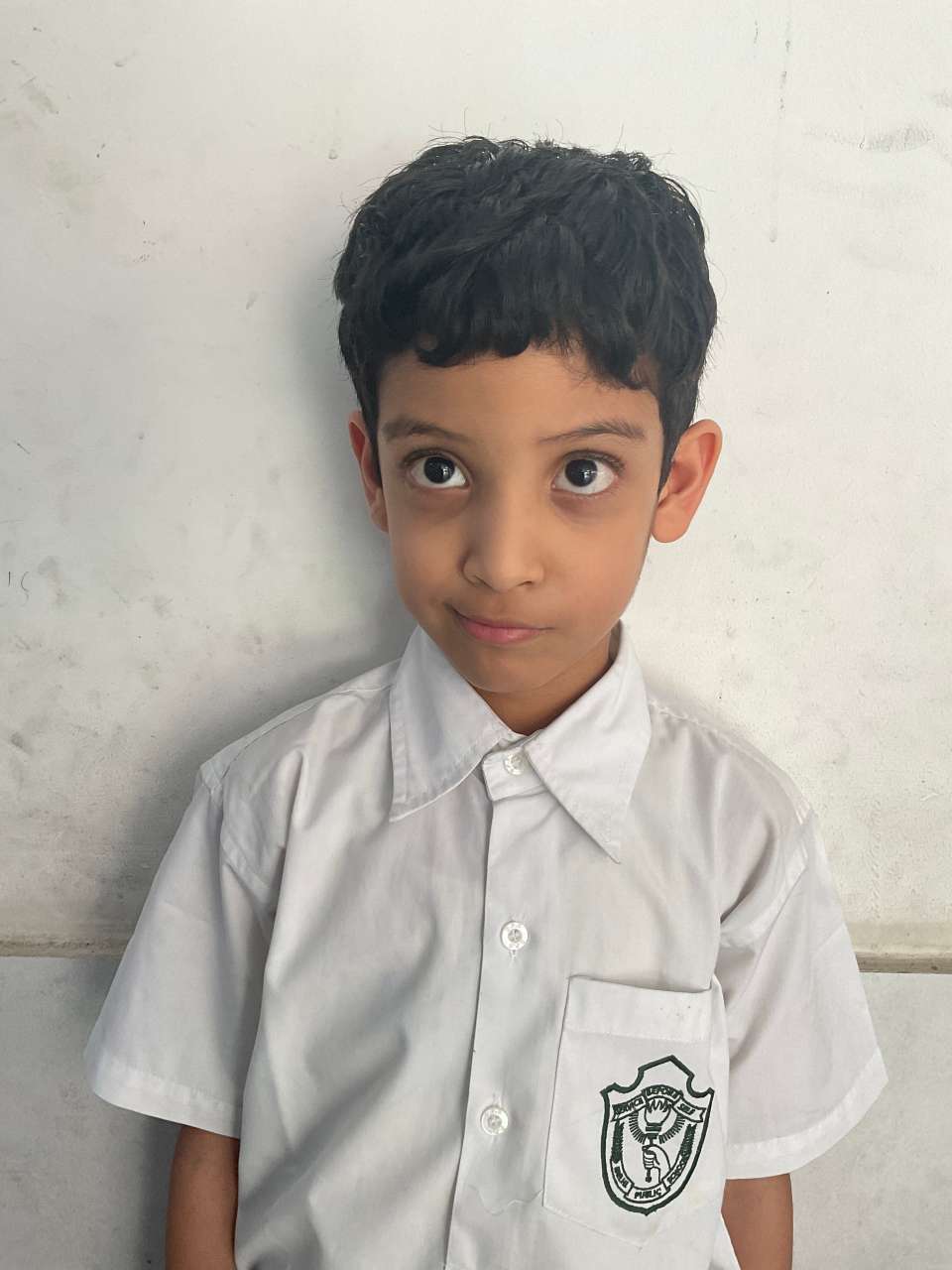 Delhi Public School Anand