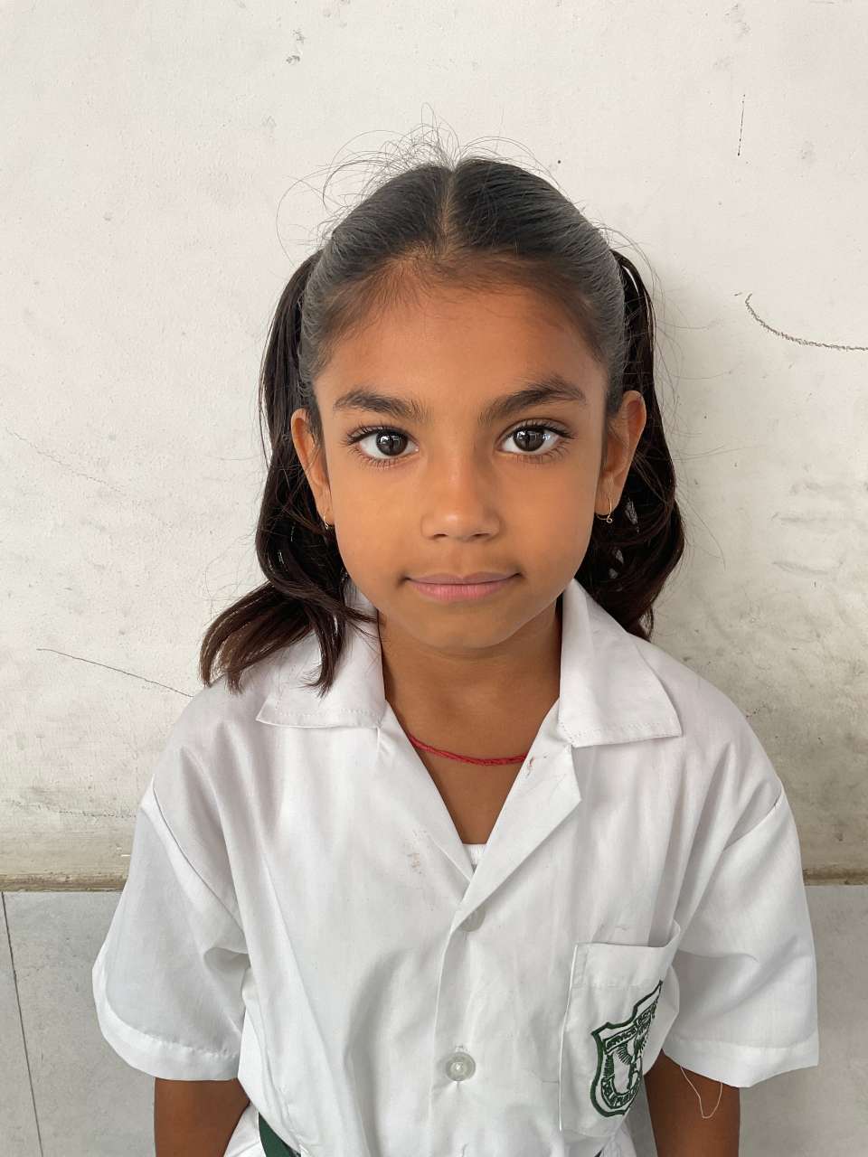Delhi Public School Anand