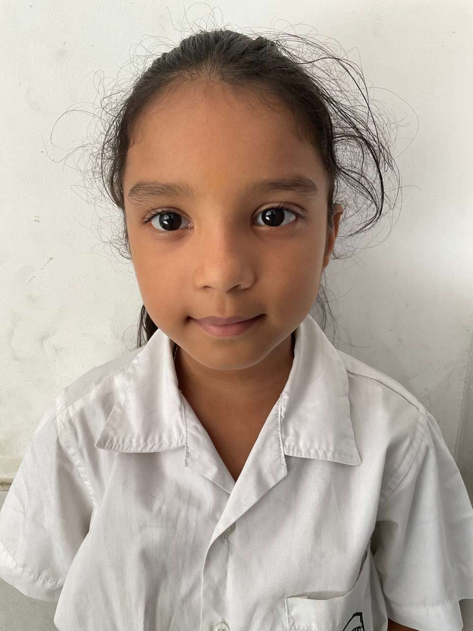 Delhi Public School Anand