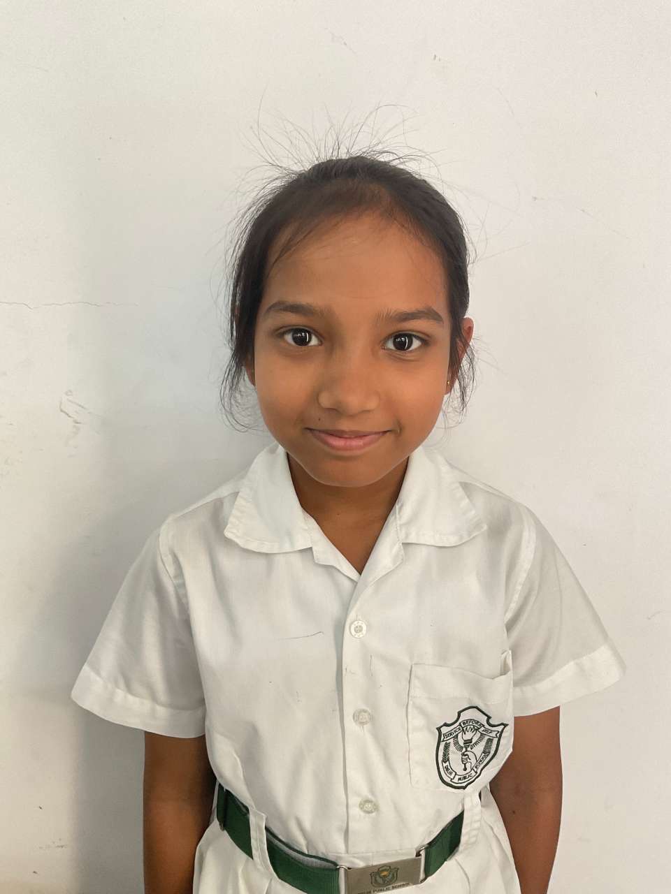 Delhi Public School Anand