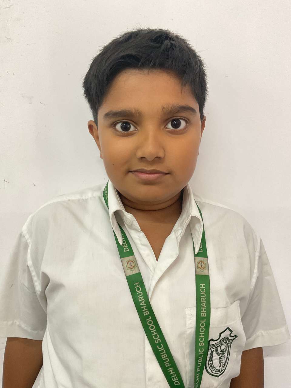 Delhi Public School Anand