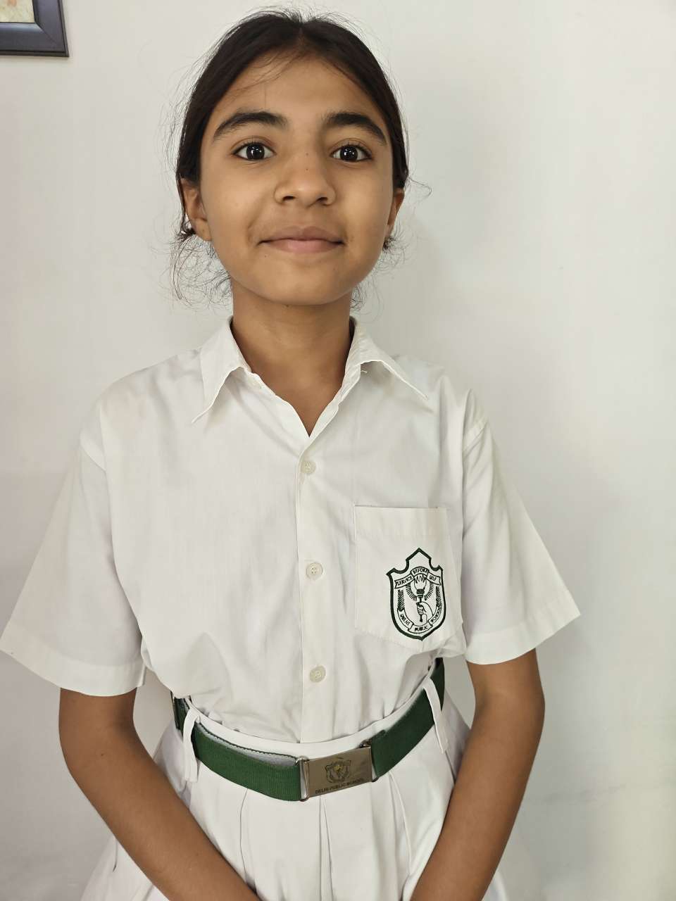Delhi Public School Anand